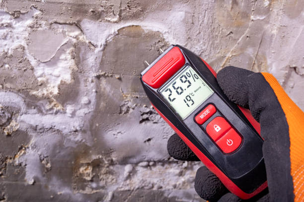 Best Professional Mold Removal  in Desert Aire, WA