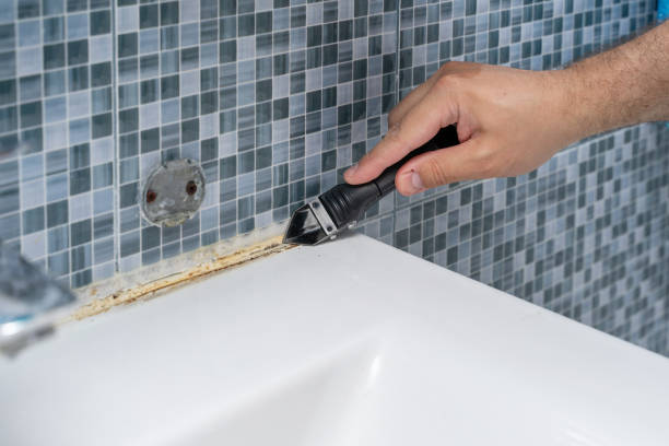 Best Toxic Mold Removal  in Desert Aire, WA